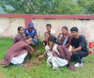 july-platation-p4-24-600x600